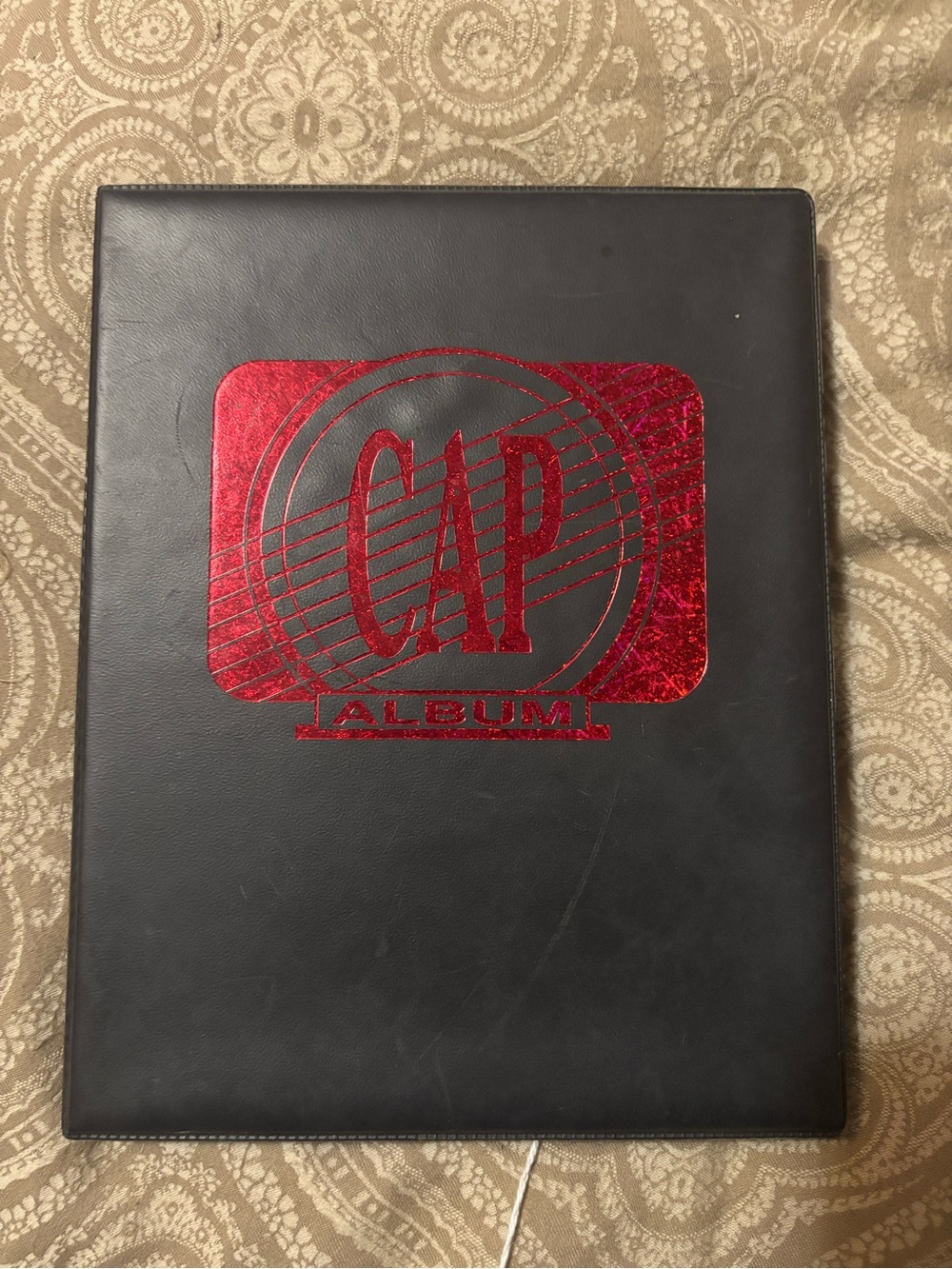 Vintage pogs binder filled entirely with vintage pogs